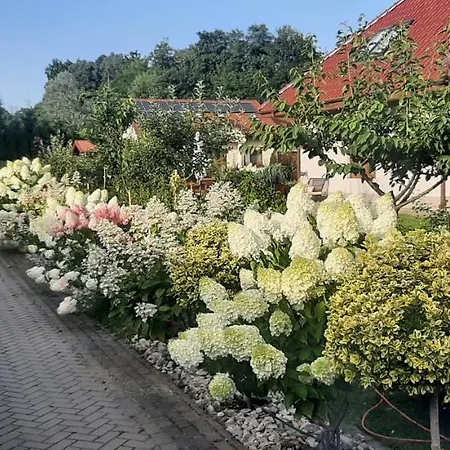 Appartement Hortensjowy Zakatek Szalejow Gorny