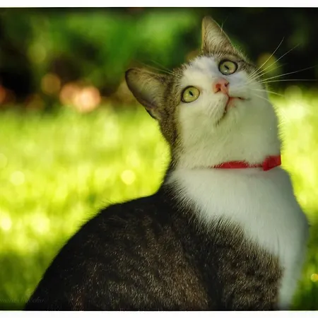 Appartement Hortensjowy Zakatek *