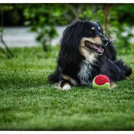 Appartement Hortensjowy Zakatek *