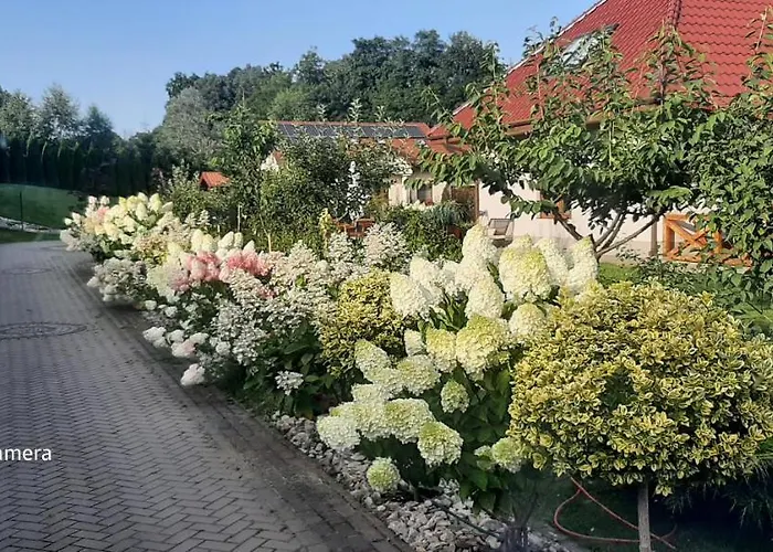 Apartment Hortensjowy Zakatek Szalejow Gorny