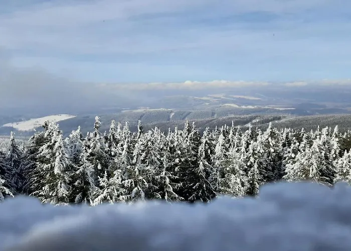 Apartment Hortensjowy Zakatek Szalejow Gorny