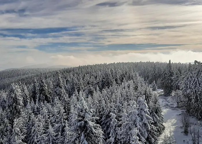 Hortensjowy Zakatek Apartman Szalejów Górny