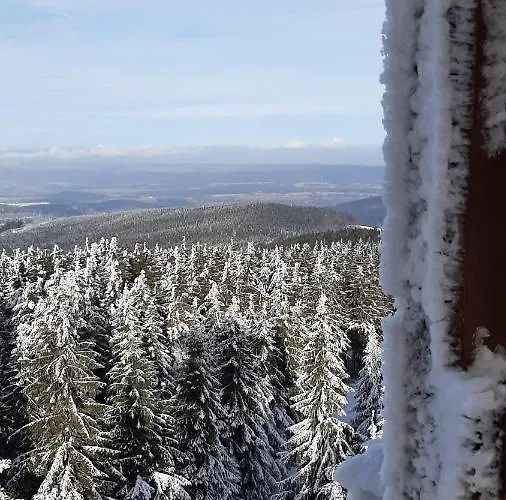 Apartman Hortensjowy Zakatek Szalejów Górny