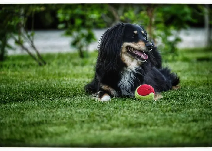 Apartman Hortensjowy Zakatek *