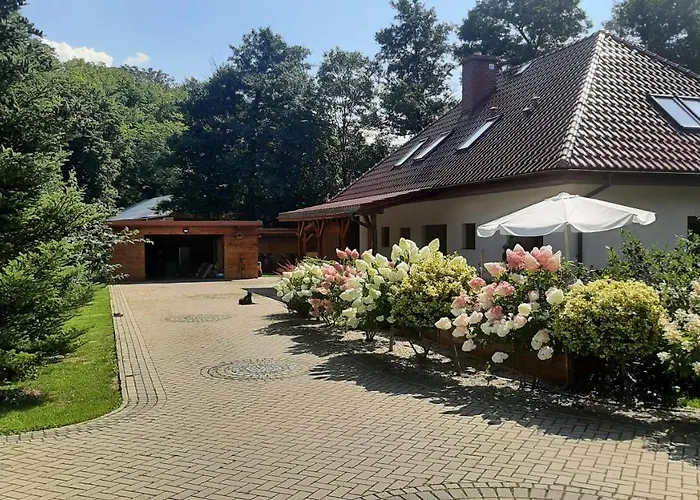 Hortensjowy Zakatek Apartment *